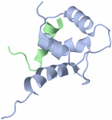 Image NMR Structure - model 1