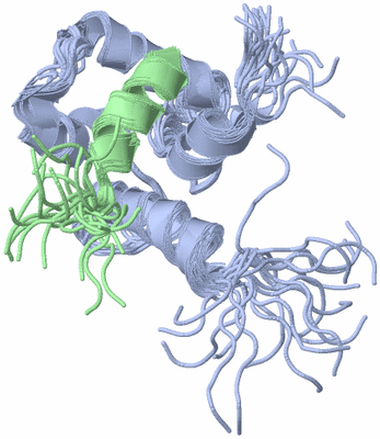 Image NMR Structure - all models