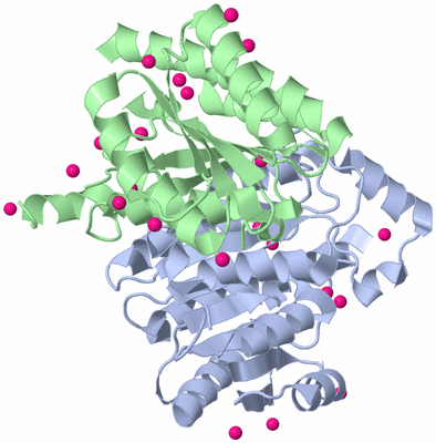 Image Asym./Biol. Unit