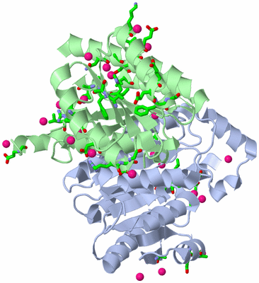 Image Asym./Biol. Unit - sites