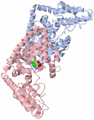 Image Biological Unit 1