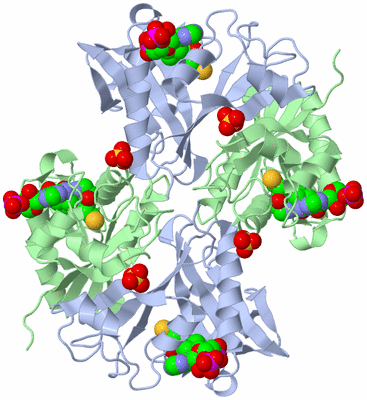 Image Biological Unit 2