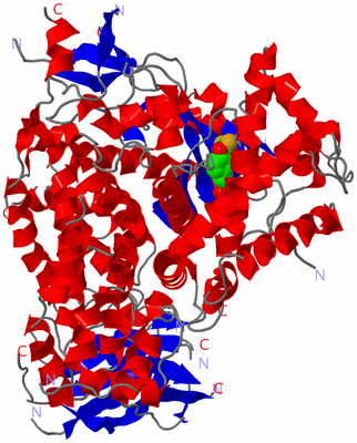 Image Asym./Biol. Unit