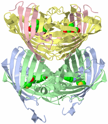 Image Biological Unit 1