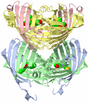 Image Biological Unit 1