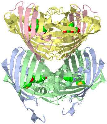 Image Biological Unit 1