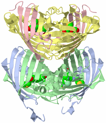 Image Biol. Unit 1 - sites