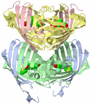 Image Biological Unit 1