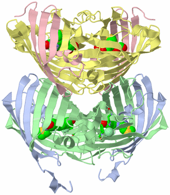 Image Biol. Unit 1 - sites