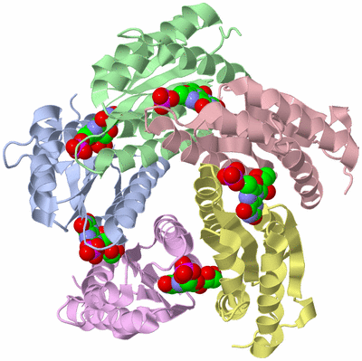 Image Biological Unit 1