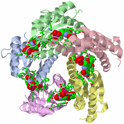 Image Biol. Unit 1 - sites