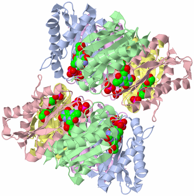 Image Biological Unit 2