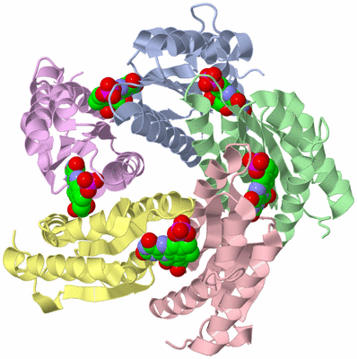 Image Biological Unit 1