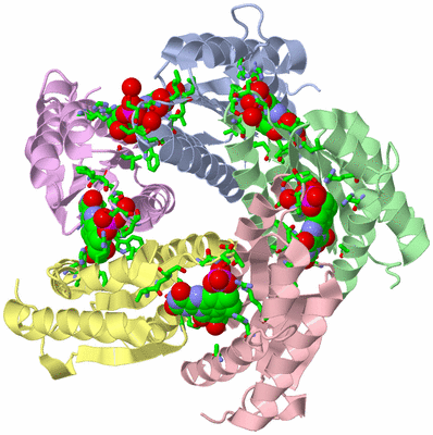 Image Biol. Unit 1 - sites