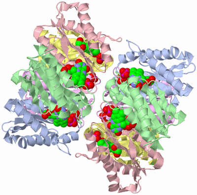 Image Biological Unit 2