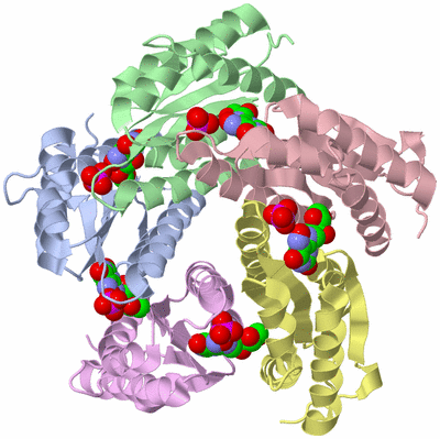 Image Asym./Biol. Unit