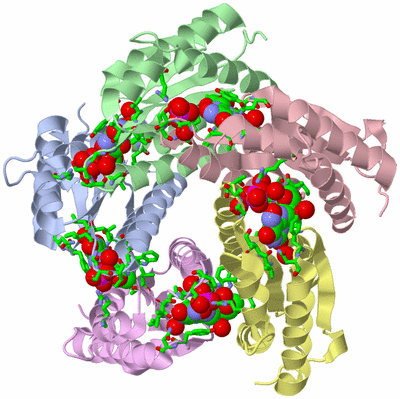 Image Asym./Biol. Unit - sites