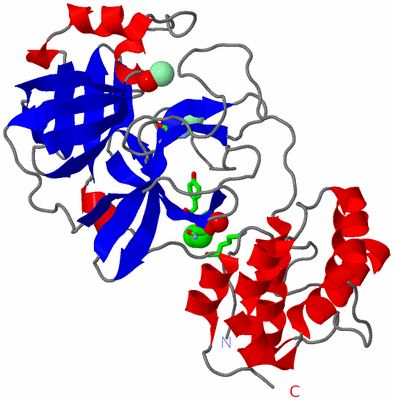 Image Asym. Unit - sites