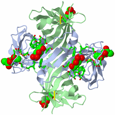 Image Biol. Unit 1 - sites