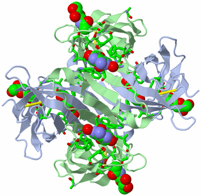 Image Biol. Unit 1 - sites