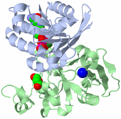 Image Asym./Biol. Unit