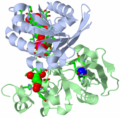 Image Asym./Biol. Unit - sites