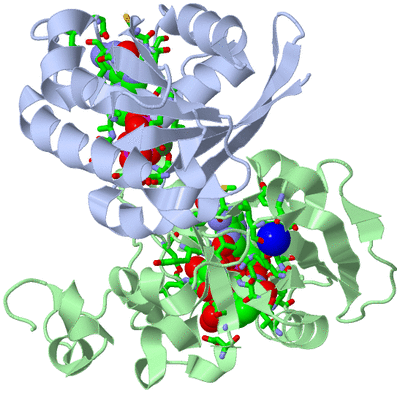 Image Asym./Biol. Unit - sites