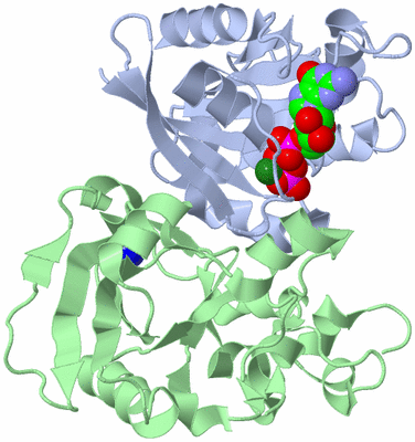 Image Asym./Biol. Unit