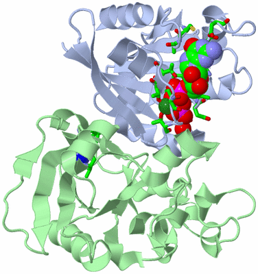 Image Asym./Biol. Unit - sites