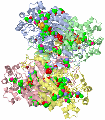 Image Asym./Biol. Unit