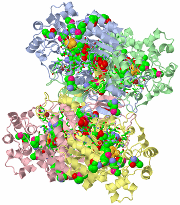 Image Asym./Biol. Unit - sites