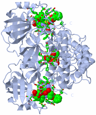 Image Biol. Unit 1 - sites