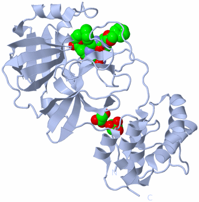 Image Biological Unit 2