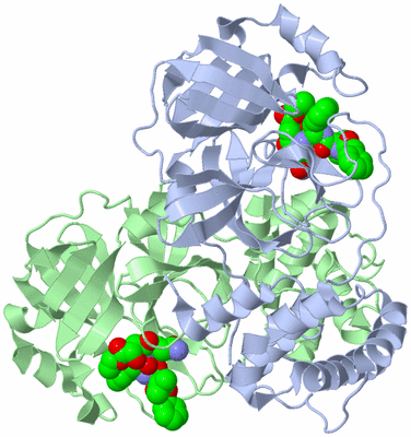 Image Asym./Biol. Unit