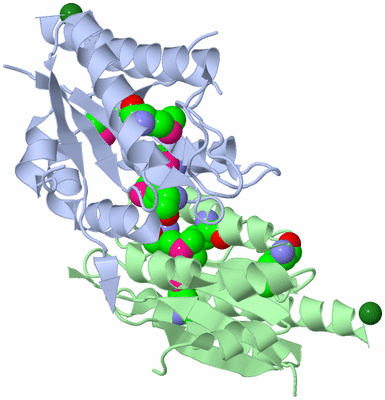 Image Biological Unit 1