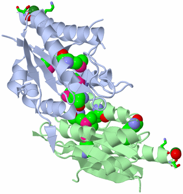 Image Biol. Unit 1 - sites