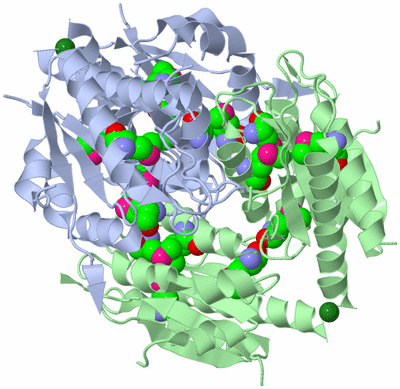 Image Biological Unit 2