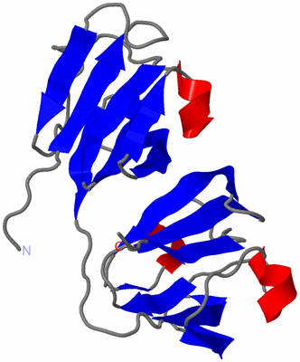 Image NMR Structure - model 1