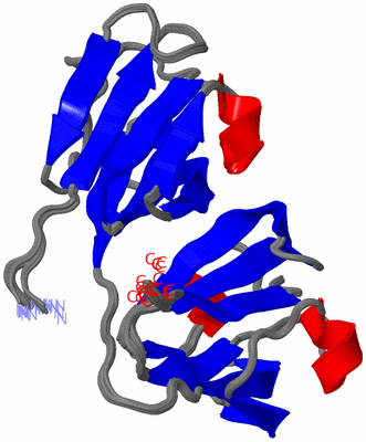 Image NMR Structure - all models