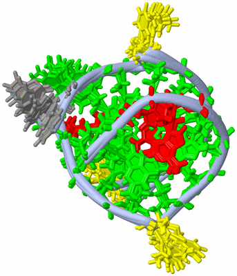 Image NMR Structure - all models