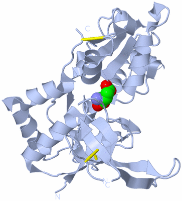 Image Biological Unit 1