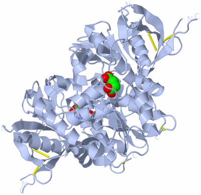 Image Biological Unit 2