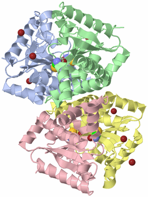 Image Biological Unit 1