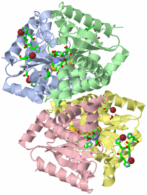 Image Biol. Unit 1 - sites