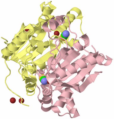 Image Biological Unit 2