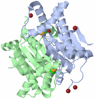 Image Biological Unit 3