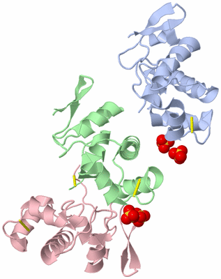 Image Asymmetric Unit
