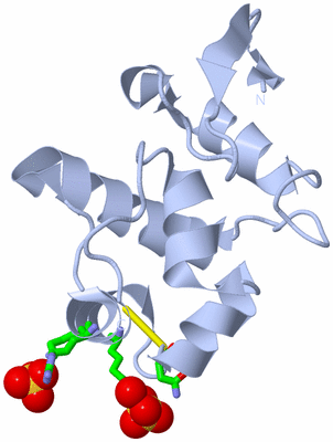 Image Biol. Unit 1 - sites