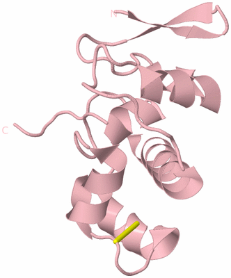 Image Biological Unit 3