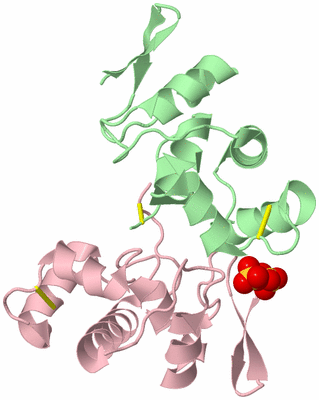 Image Biological Unit 4